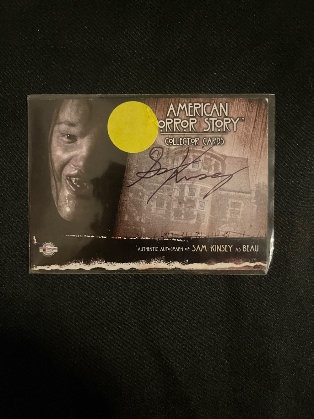 American Horror Story Collector Card - Signed Sam Kinsey - Black/Brown